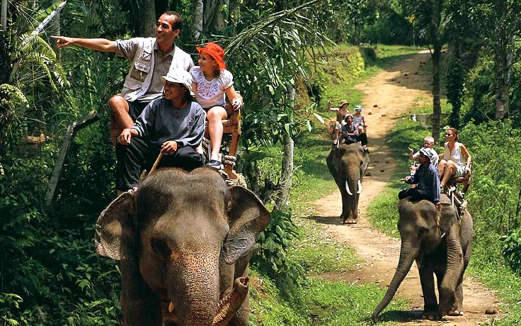 Wildlife South India Tour | Wildlife Sanctuaries in South India